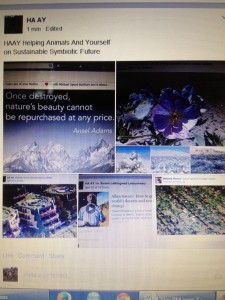 facebook pic's 001 (4)