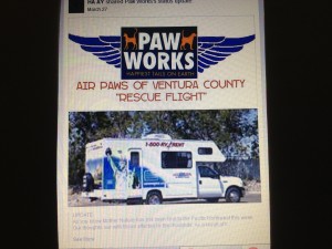 facebook pic's 007 (2)