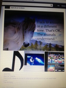 facebook pic's 048