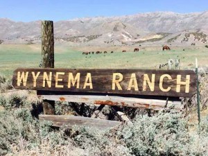 wynema+ranch+sign