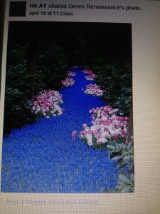 facebook pic's 114